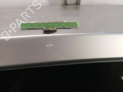 Tailgate RENAULT CLIO III (BR0/1, CR0/1) 1.5 dCi (BR17, CR17) | BP29616516C6 