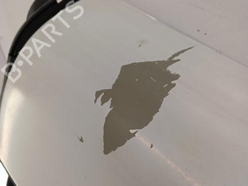 Right tailgate RENAULT KANGOO / GRAND KANGOO II (KW0/1_) 1.5 dCi 90 (KW05, KW08, KW0G, KW11) | BP29845074C77