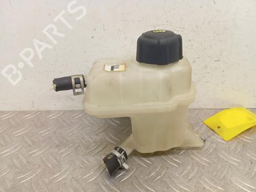 Expansion tank NISSAN QASHQAI / QASHQAI +2 I (J10, NJ10, JJ10E) 1.5 dCi 21721JD00B