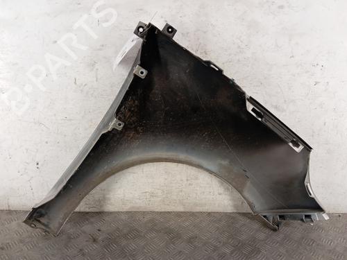Left front fenders RENAULT SCÉNIC III (JZ0/1_) 1.9 dCi (JZ0J, JZ1J, JZ1K, JZ1S) | BP28344017C41 