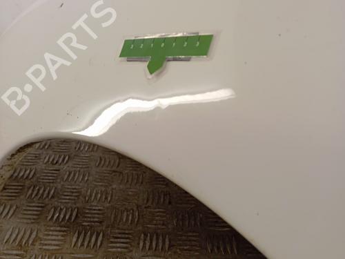 Left front fenders PEUGEOT 206 Hatchback (2A/C) 1.4 HDi eco 70 | BP29567439C41 