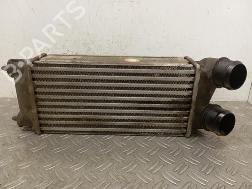 Used Intercooler Intercooler PEUGEOT PARTNER Box Body/MPV 1.6 BlueHDi 100 (100 hp) 28344225 28344225
