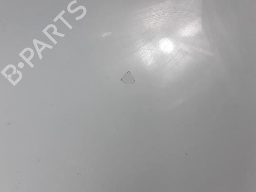 Hood RENAULT SCÉNIC II (JM0/1_) 2.0 (JM05, JM0U, JM1N, JM1U, JM2V) | BP28337791C1 