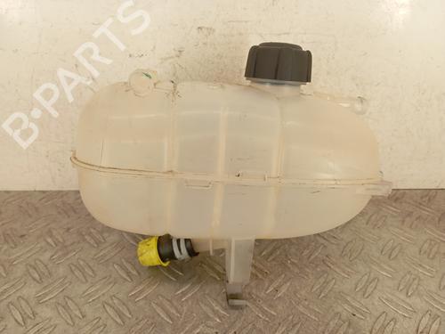 Used Expansion tank RENAULT TRAFIC III Van (FG_) 2.0 dCi 145 (FGML) (145 hp) 28341269