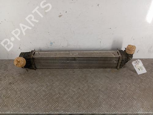 Used Intercooler RENAULT SCÉNIC III (JZ0/1_) 1.6 dCi (JZ00, JZ12) (130 hp) 29545263