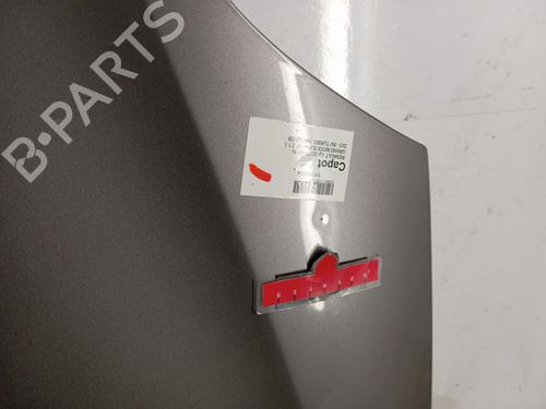 Hood RENAULT MODUS / GRAND MODUS (F/JP0_) 1.5 dCi (JP0G, JP0H) | BP29845072C1 