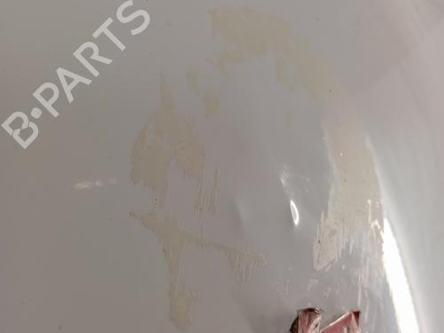 Left tailgate RENAULT KANGOO (KC0/1_) D 65 1.9 (KC0E, KC02, KC0J, KC0N) | BP30650549C76