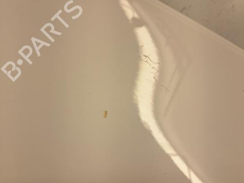 right-front-fenders-citroen-c3-iii-sx-2016-38543240 main image