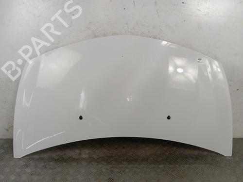 Used Hood RENAULT CLIO III (BR0/1, CR0/1) 1.5 dCi (C/BR0G, C/BR1G) (68 hp) 28338457