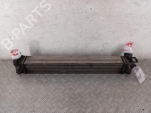 Used Intercooler RENAULT MEGANE III Grandtour (KZ0/1) 1.5 dCi (KZ09, KZ0D, KZ1G, KZ29, KZ14, KZ1W, KZ10, KZ1F,... (110 hp) 28345299
