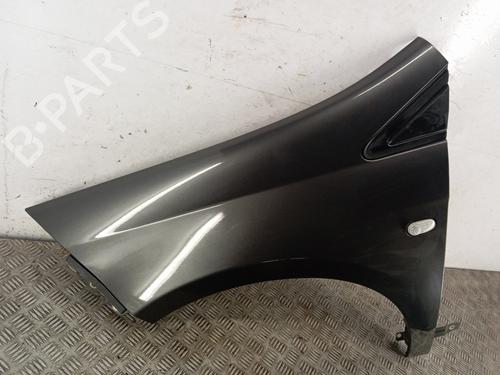 Left front fenders FIAT BRAVO II (198_) 1.6 D Multijet (198AXL1B) | BP32330586C41