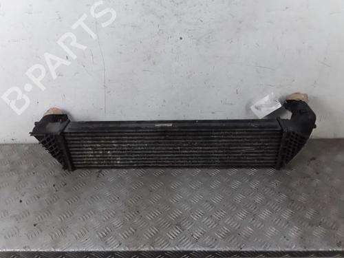 Used Intercooler Intercooler RENAULT LAGUNA II Grandtour (KG0/1_) 1.9 dCi (125 hp) 28341804 28341804
