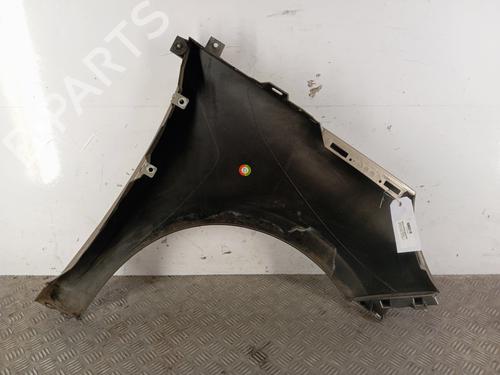 Left front fenders RENAULT SCÉNIC III (JZ0/1_) 1.6 dCi (JZ00, JZ12) | BP29560782C41 