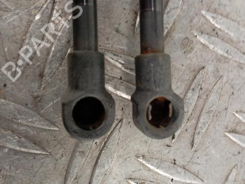 Tailgate lift support NISSAN QASHQAI I (J10, NJ10) 1.5 dCi | BP28348271C138