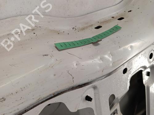 Left tailgate RENAULT KANGOO / GRAND KANGOO II (KW0/1_) 1.5 dCi 90 (KW05, KW08, KW0G, KW11) | BP29956958C76 