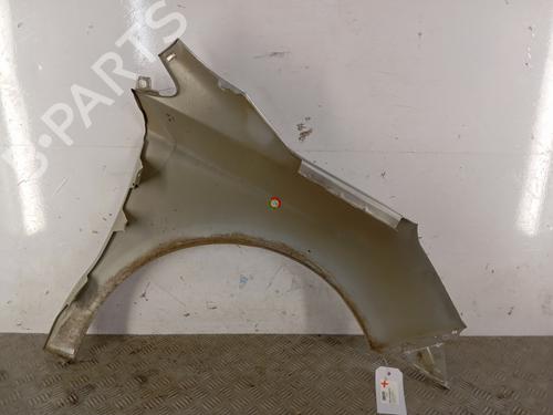 Left front fenders CITROËN C4 II (NC_) 1.6 HDi 115 | BP29438093C41 