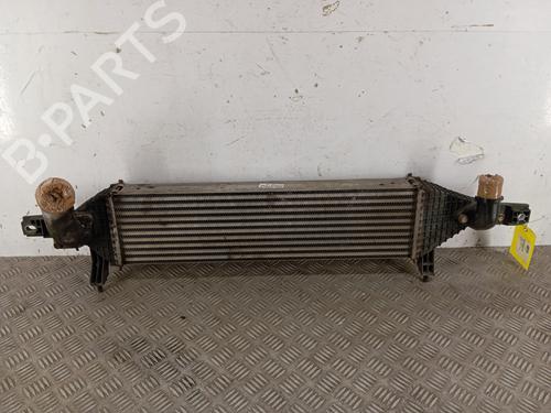 Intercooler NISSAN QASHQAI I (J10, NJ10) 1.6 dCi (130 hp) 33170326
