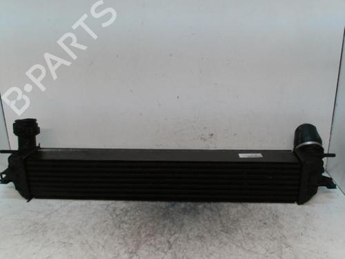 Used Intercooler RENAULT LAGUNA III (BT0/1) 2.0 dCi (BT01, BT08, BT09, BT0E, BT0K, BT12, BT1C, BT1D,... (150 hp) 28349219