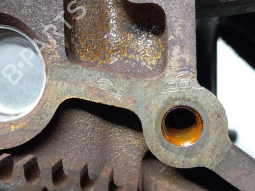 Engine RENAULT CLIO III (BR0/1, CR0/1) 1.2 16V Hi-Flex (BR1U, CR1U) | BP30772913M1