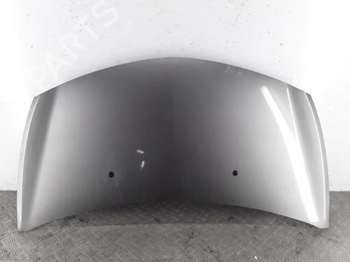 hood-renault-clio-iii-br01-cr01-2005-2006-2007-2008-2009-2010-2011-2012-2013-2014-35931035 main image