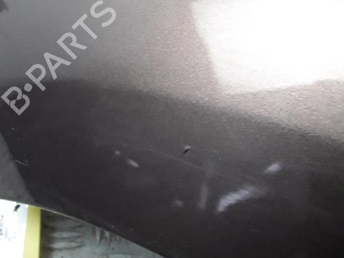 Left front fenders RENAULT SCÉNIC III (JZ0/1_) 1.9 dCi (JZ0J, JZ1J, JZ1K, JZ1S) | BP28346560C41 
