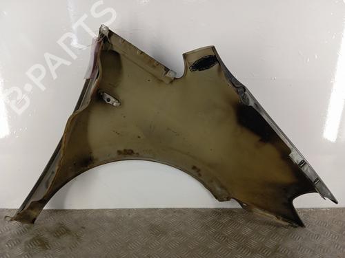 Left front fenders LANCIA MUSA (350_) 1.3 D Multijet (350.AXM11, 350.AXM1A, 350.AXI1A) | BP28340000C41 