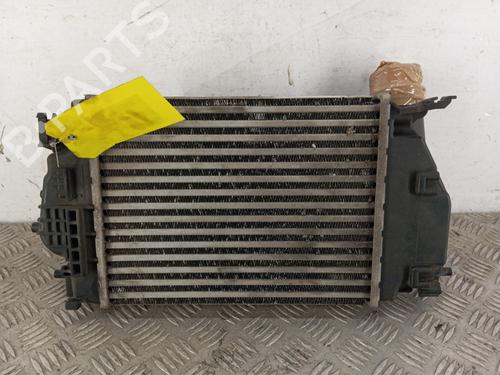 Intercooler RENAULT KADJAR (HA_, HL_) 1.6 dCi 130 (HLA4) | BP31176754M30 