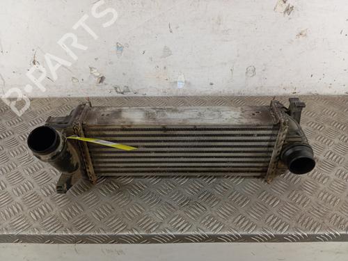 Used Intercooler RENAULT KANGOO Express (FW0/1_) 1.5 dCi 90 (FW0G, FW05, FW08, FW11) (90 hp) 31883601