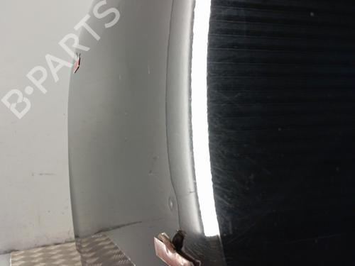 Left front door RENAULT SCÉNIC III (JZ0/1_) 1.6 dCi (JZ00, JZ12) | BP29310918C2 