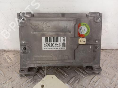 Display monitor PEUGEOT 2008 I (CU_) 1.2 PureTech 82 | BP28345661C48 