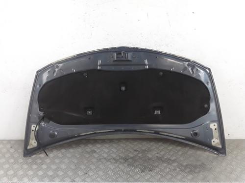 Hood RENAULT CLIO III (BR0/1, CR0/1) 1.5 dCi (BR17, CR17) | BP28338424C1 