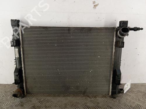 Køler DACIA LODGY (JS_) 1.2 TCe (JSAY, JSM0) | BP29725308M31 