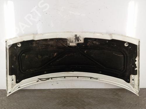 Hood PEUGEOT EXPERT Van (222) 2.0 HDI | BP29845108C1