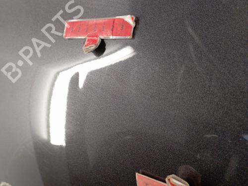 Left front door TOYOTA YARIS (_P9_) 1.4 D-4D (NLP90_, NLP90R) | BP28345418C2 