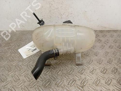 Expansion tank RENAULT TRAFIC III Van (FG_) 1.6 dCi 125 (FGMH) | BP28340277C120 