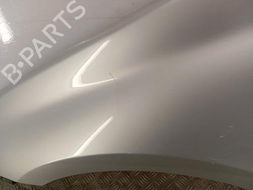 Left front fenders RENAULT LAGUNA III Grandtour (KT0/1) 2.0 dCi (KT07, KT0J, KT14, KT1A, KT1S) | BP28343947C41 
