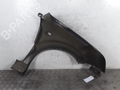Left front fenders FORD FUSION (JU_) 1.4 TDCi | BP28339332C41 