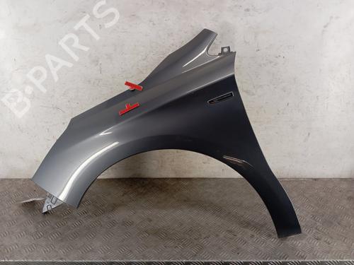Left front fenders CITROËN C4 II (NC_) 2.0 HDi / BlueHDi 150 | BP28341319C41