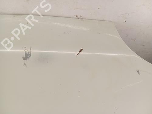 Used Hood Hood RENAULT TWINGO I (C06_) [1993-2012] 36293618 36293618