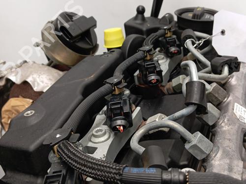 Engine VW GOLF SPORTSVAN VII (AM1, AN1) 2.0 TDI | BP28346691M1 