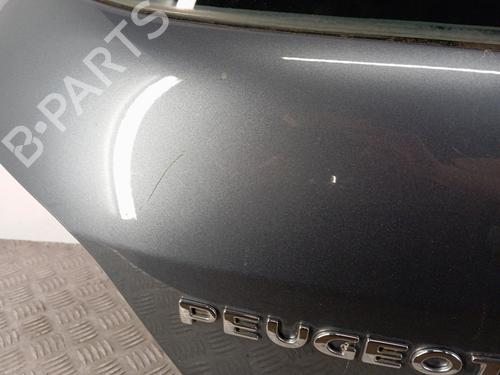Bakluke CC/Kombi-Kupé PEUGEOT 307 (3A/C) 1.4 16V | BP28338520C6 