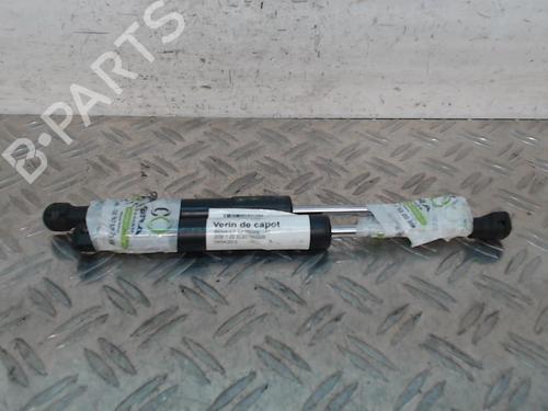 hood-lift-support-renault-zoe-bfm_-2012-28342254 main image