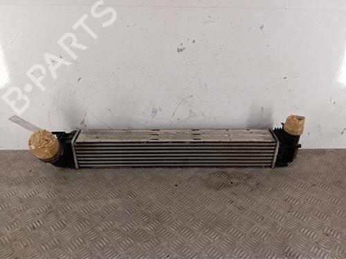 Intercooler RENAULT GRAND SCÉNIC III (JZ0/1_) 1.9 dCi (JZ0J, JZ0N, JZ1K, JZ1S) (131 hp) 29412438