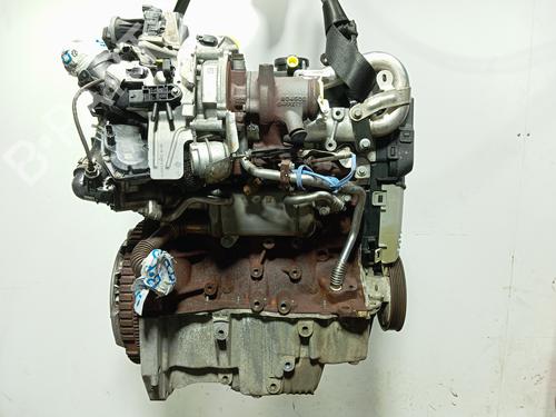Engine RENAULT KANGOO Express (FW0/1_)  | BP34450595M1  - Image 6