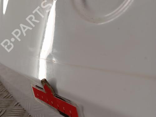Tailgate DACIA DUSTER (HS_) 1.5 dCi | BP29359246C6 