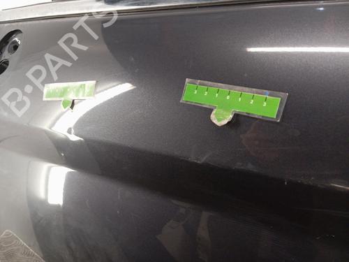 Left front door FORD FIESTA VI (CB1, CCN) 1.6 TDCi | BP29940465C2