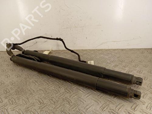 Gasdæmper bagklap BMW X6 (F16, F86) M 50 d (381 hp) 31341262