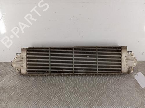 Intercooler VW TRANSPORTER T5 Van (7HA, 7HH, 7EA, 7EH) 2.0 TDI | BP28338474M30