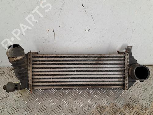 Intercooler RENAULT KANGOO Express (FW0/1_) 1.5 dCi 70 (FW0A, KW0V) | BP38677197M30 - Image 5