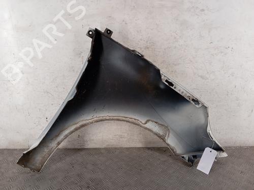 Left front fenders RENAULT SCÉNIC III (JZ0/1_) 1.5 dCi | BP28347199C41 